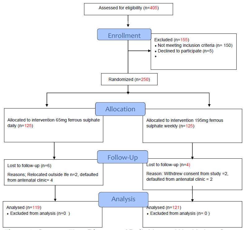 Serum Ferritin